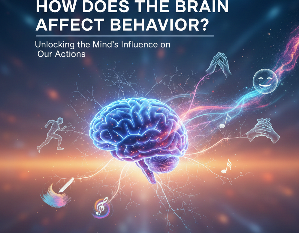 How Does the Brain Affect Behavior?